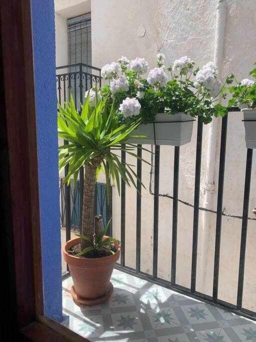 Casa Ziba Casco Antiguo Wifiaa Apartman Peñíscola Kültér fotó